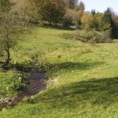 Medebacher Bucht